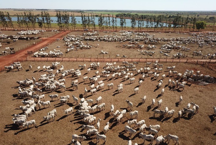 GA+Intergado amplia oferta de tecnologia de ponta para pecuária e se prepara para lançar nova marca