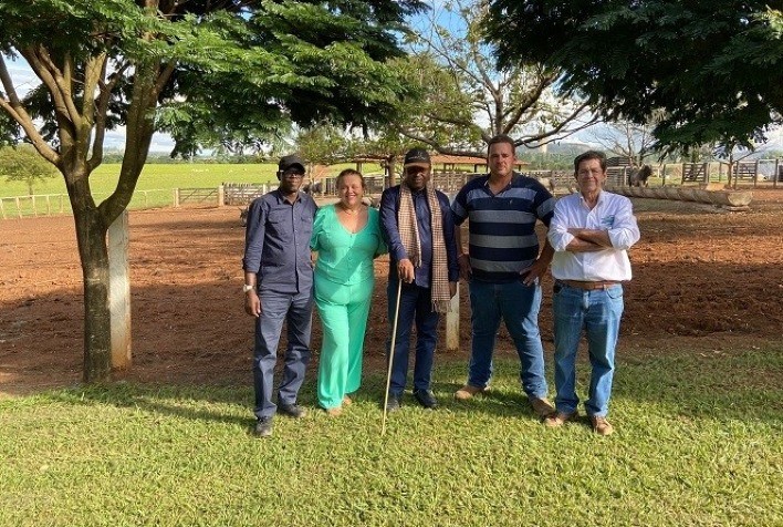 Associado à ABCZ, criador de Guzerá exporta animais para o Senegal