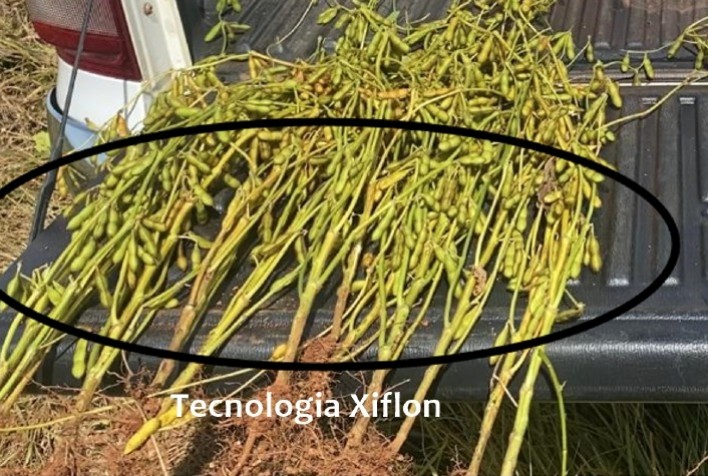 Tecnologia da Harvest Agro é destaque em publicação internacional