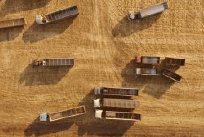 Planejamento da logística proporciona segurança no transporte de grão