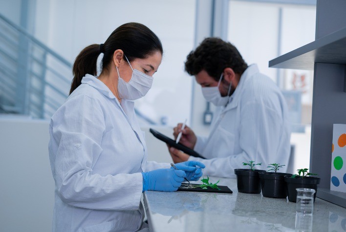 Startups de insumos biológicos para agricultura estão em evidência no mercado agro