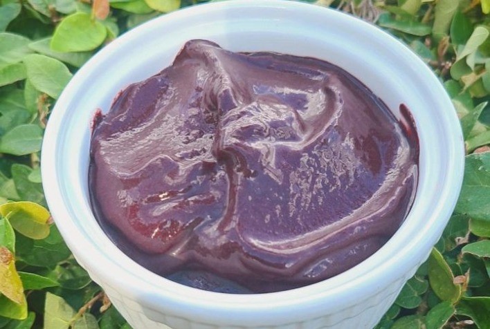 Família paranaense abre fábrica de açaí no Norte e inicia comercialização de produtos no Sul