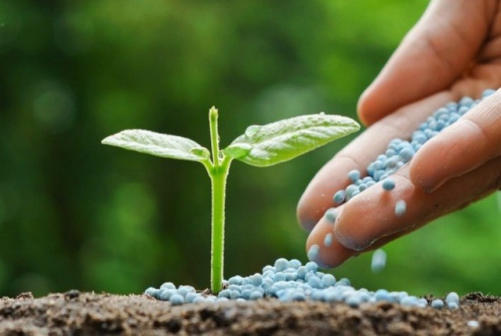O segredo da produção de grãos são fertilizantes estratégicos