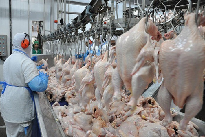 Desempenho do frango abatido resfriado na 14ª semana de 2023, primeira do mês de abril