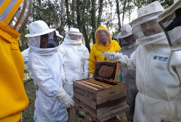 Visita técnica em propriedade de Ibicaré destaca manejos na apicultura