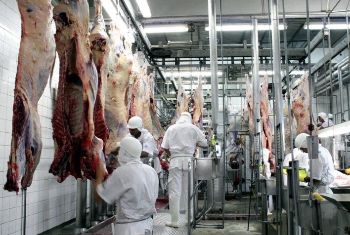 Frigoríficos de Mato Grosso aumentam 16% abate de gado
