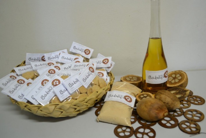 Pesquisa desenvolve bebida e "queijo" feitos com castanha de coco babaçu