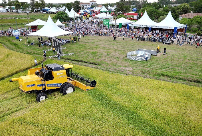 Definida data da próxima Abertura Oficial da Colheita do Arroz e Grãos em Terras Baixas