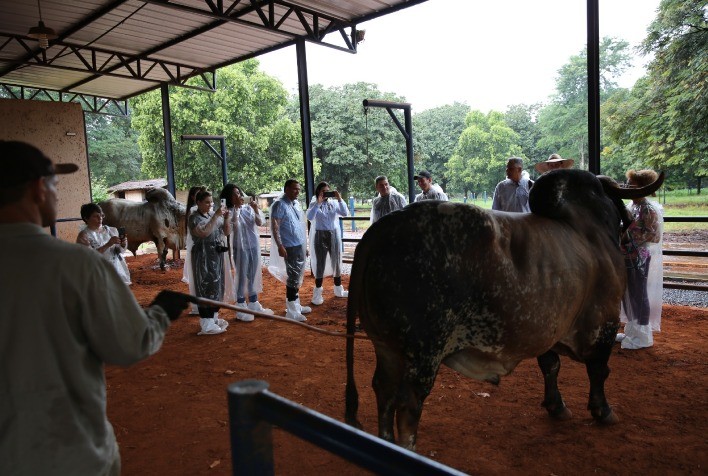 Produtores de Cuba visitam Uberaba para conhecer biotecnologias para melhoramento animal