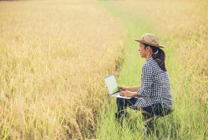 Dias melhores para o campo