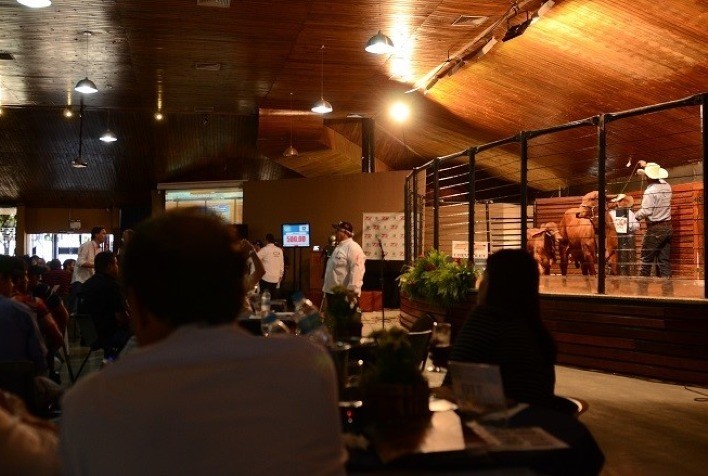 88ª ExpoZebu: grade comercial soma 39 leilões e shoppings