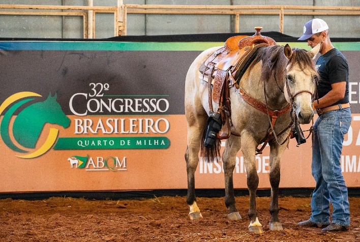 Araçatuba recebe o 32º Congresso Brasileiro do Quarto de Milha
