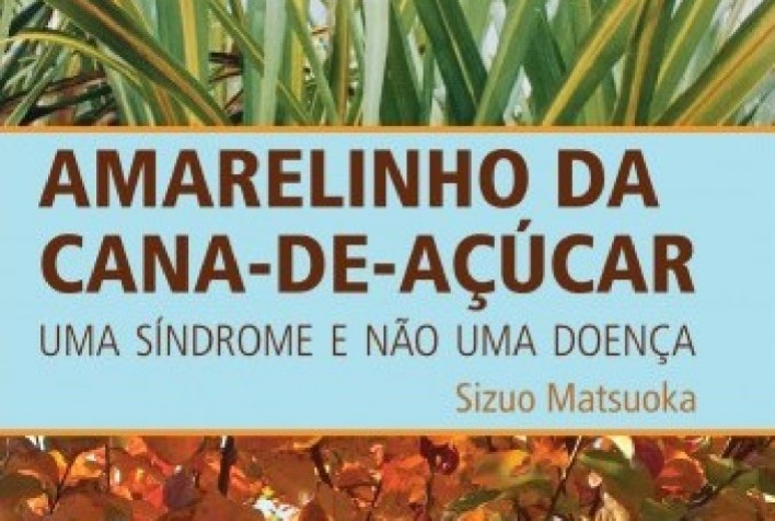 Livro da EdUFSCar aborda o amarelinho da cana-de-açúcar