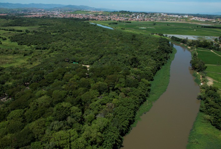No Dia da Terra, BASF reafirma compromissos ambientais em suas diferentes frentes de produção
