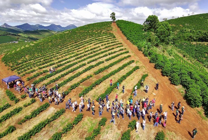 Desafios e soluções para a cafeicultura de montanha