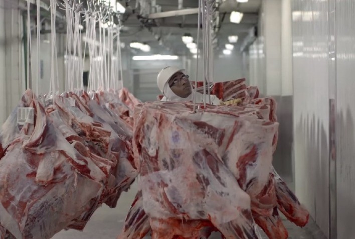 Frigoríficos aumentam abate e capacidade industrial de Mato Grosso chega a 54%