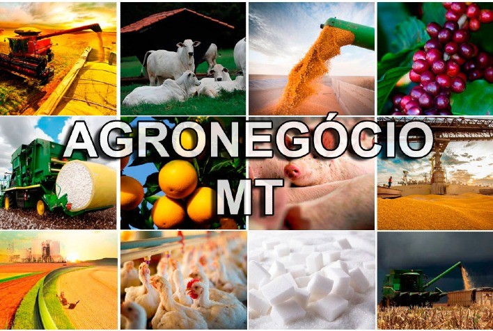 Agronegócio acelera crescimento do Centro-Oeste; MT é destaque