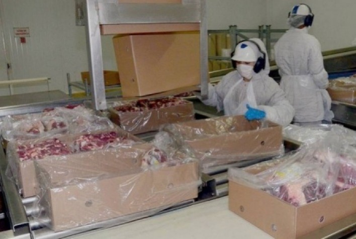 Detalhamento das exportações de carne bovina no primeiro trimestre de 2023