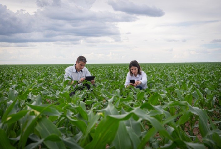 Agrishow 2023: Timing de Aplicação ® torna plataforma FIELD MANAGER mais robusta a cada safra