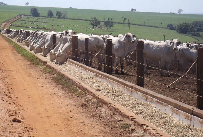 Novo misturador de ração vertical é um dos destaques na Agrishow