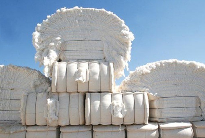Cai 7,4% cotação da pluma de algodão em Mato Grosso