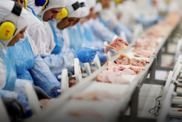 Agroindústria registra queda de 3,4% em fevereiro ante mesmo mês do ano anterior, informa FGVAgro
