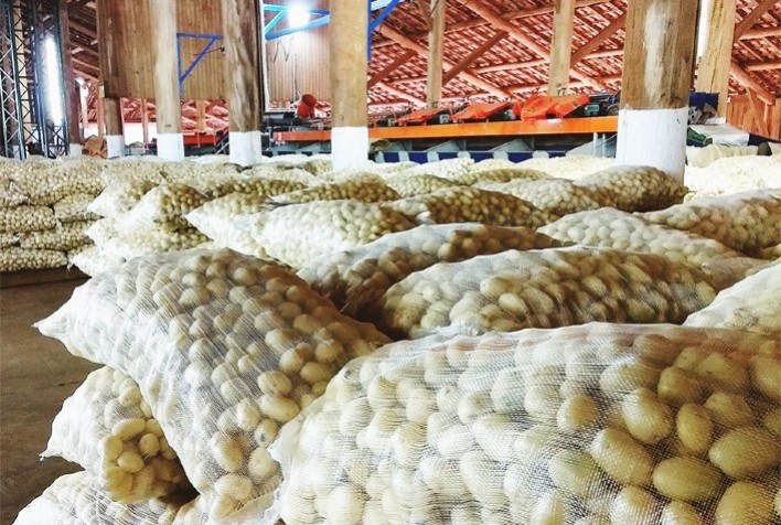 Preços da batata sobem em abril, com proximidade do final da safra das águas