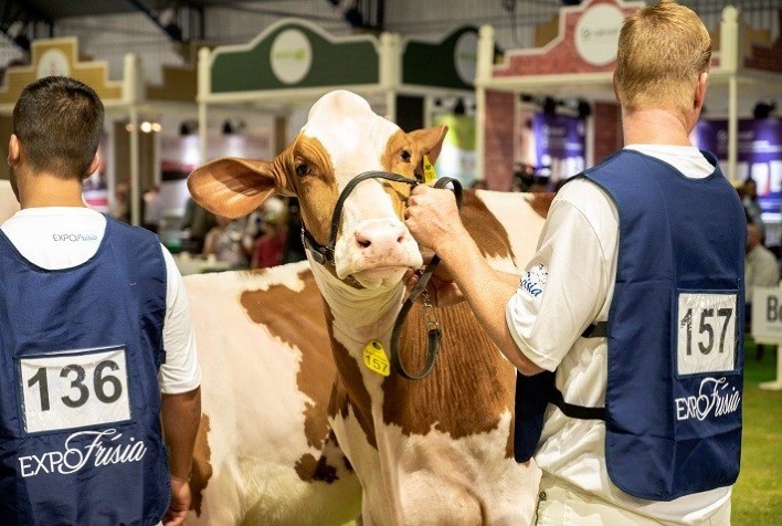 Público das feiras ExpoFrísia e Digital Agro ultrapassa expectativa e soma mais de 10 mil pessoas