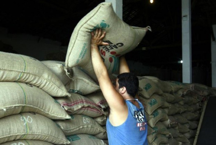 Exportações de cafés suaves trazem indicadores sobre a demanda, indica hEDGEpoint