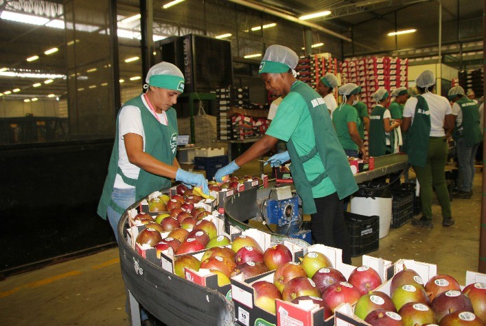 Produtores rurais cobram acordo para conclusão da CCT 2023, que se arrasta há mais de 100 dias