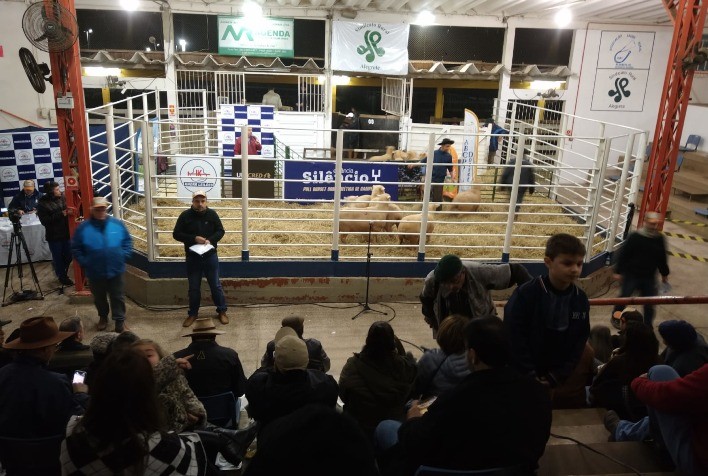Mercado aquecido de carne premium deve movimentar vendas em remates na Fenovinos