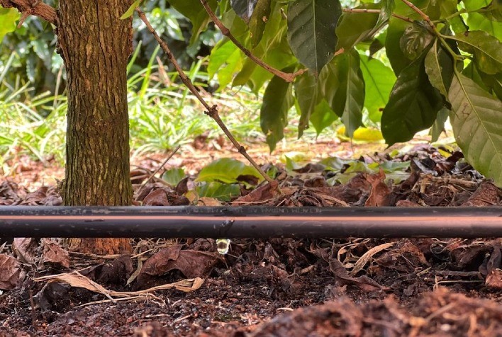 Uso da tecnologia da irrigação visando uma cafeicultura mais sustentável