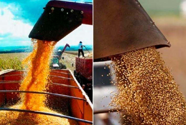 Quais são os impactos do El Niño na produção de soja e milho dos EUA, América do Sul e Mar Negro?