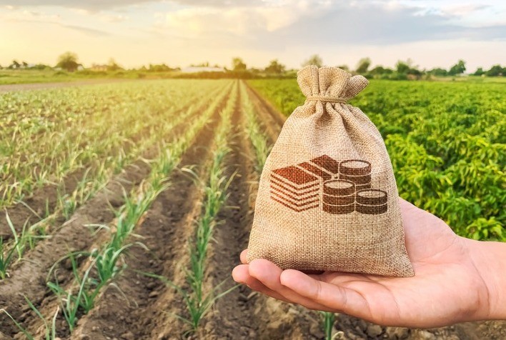 Crédito rural supera R$ 290 bilhões em dez meses