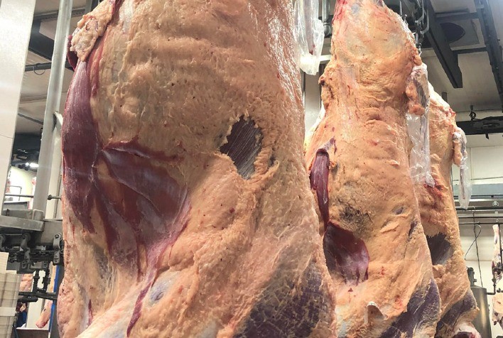 Mato Grosso tem leve redução no abate de gado, mas abril registra recorde