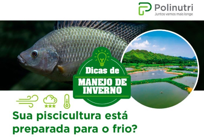Polinutri lança manual técnico com dicas de manejo no inverno para piscicultores