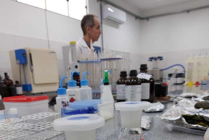 A ciência que ajudou Mato Grosso do Sul a se tornar uma potência do agro