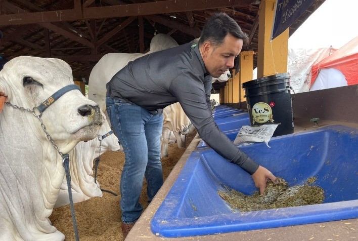 Produtores rurais buscam auxílio de profissionais e de produtos agrícolas para otimizar gestão no campo