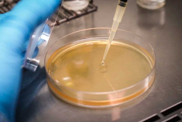 Embrapa Soja apresenta bioinsumos para soja e pastagens na Agrotins