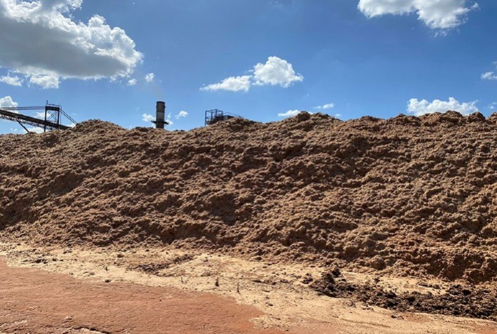 Ciência avança na produção de biomassa não madeireira
