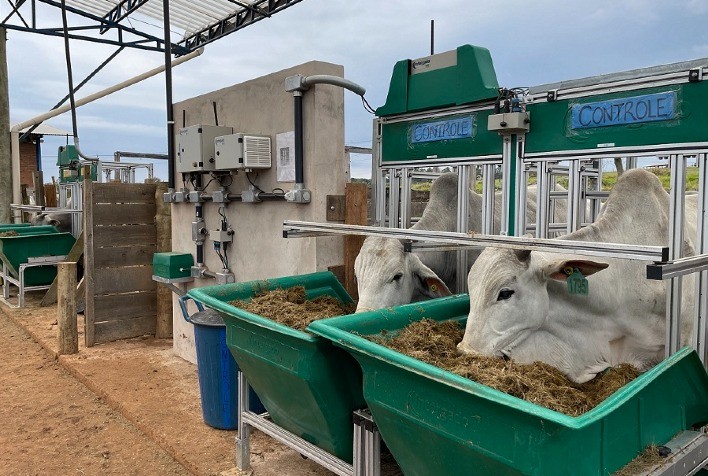 Embrapa seleciona startups para desenvolvimento de projetos em pecuária de precisão