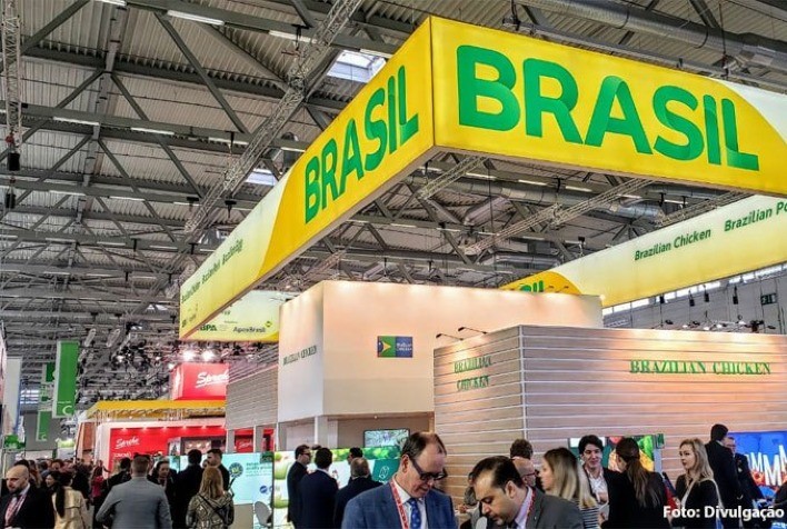 ABPA e ApexBrasil levam agroindústrias de aves e suínos para ação na China