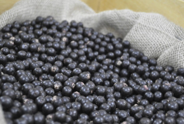 Brasil contabiliza a abertura de 20 mercados para produtos do agro em 2023