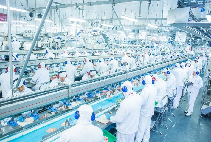 BRF conquista nova reabilitação para exportar carne suína e de frango à China