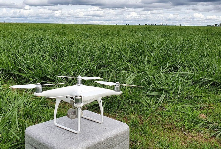 Drones garantem 66% de acurácia no monitoramento de pastagens