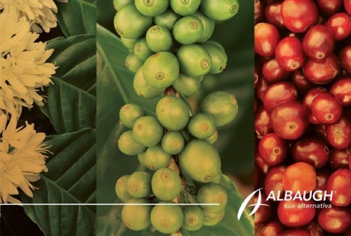 Café do Brasil: Na maior feira do setor cafeeiro, um portfólio robusto para fomentar produtividade e mais rentabilidade