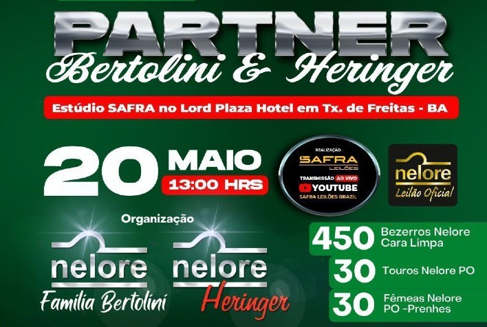Bertolini e Nelore Heringer ofertam 700 animais no 1° Leilão Projeto Partners