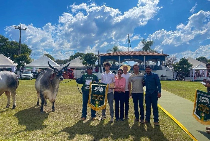 Touro Guzerá classificado no PNAT é eleito Grande Campeão da Expô Curvelo