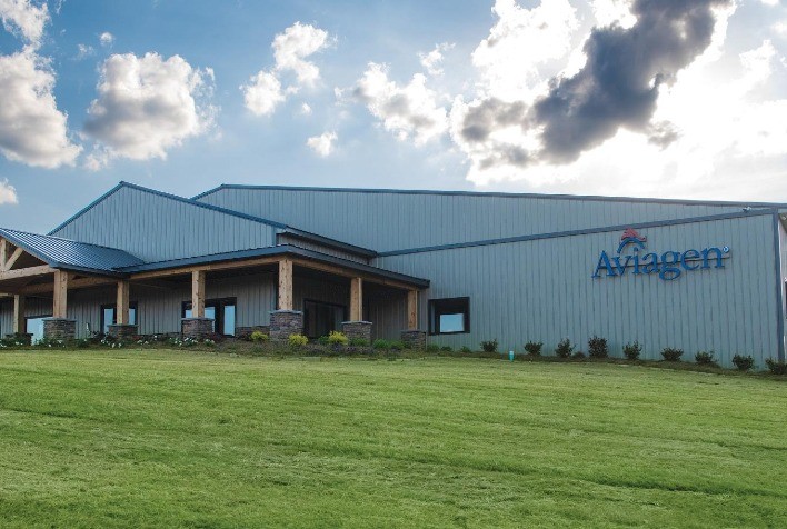 Aviagen anuncia investimentos de R$ 250 milhões em novo projeto de expansão no Brasil