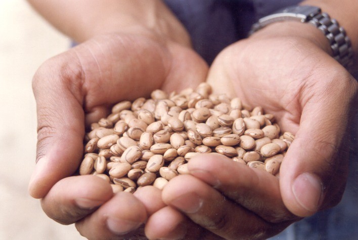 Mapa determina recolhimento de lotes de feijão de duas marcas impróprios para consumo